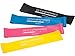 DYNAPRO Resistance Bands- Mini Precision Loop Exercise Bands with E-Quickstart Workout Guide (Pink-Yellow-Blue-Black) Perfect for Any Home Fitness Training Program