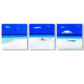 Canvas Wall Art Beautiful Beach Collections Picked Painting Artwork for Home Prints Framed - 12"x12"x3 Panels