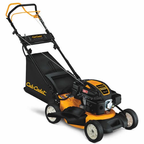 Cub Cadet CC 550 ES (19") 173cc Electric Start SelfPropelled Lawn Mower 12AE18JA010 Amazon