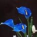 Luyue 20pcs Calla Lily Artificial Royal Blue Flowers Fake Real Touch Latex Flowers for Home Kitchen Wedding Decoration