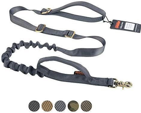 police dog training on ropes