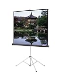 Picture King Matte White Portable Projection Screen