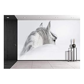 Gray Andalusian Horse in a Mist