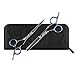 Elfina Hair Cutting Shears, 6.0" Professional Stainless Barber Scissors Set for Hairdressing, Thinning, Texturizing, Salon or Home Use - Flat Shears, Tooth Shears, Comb & Hair Clip Included (Blue)