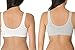 Fruit of the Loom Women's Plus-Size Sport Bra, Heather Grey/White, Size 40