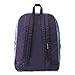 JanSport Black Label Superbreak Backpack - Classic, Ultralight (Striped Floral)