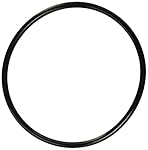 Pentair 350013 Lid O-Ring Replacement Pool and Spa Pump