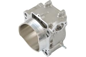 ZuneXino 96.00mm Cylinder Head STD Compatible with Honda 2002 2003 2004 2005 2006 2007 2008 CRF450 CRF450R Cylinder,Replace Part No.12100-MEB-670, 12100-MEN-670, 12100-MEN-671