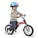 Radio Flyer All-Terrain Balance Bike