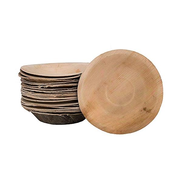 Disposable-Palm-Leaf-Bowl-25-Pack-Compostable-and-Biodegradable-Bowls-Round-7-inch-100-All-Natural-Palm-Bowl-Tableware-for-Picnics-BBQ-and-Outdoor-Parties Signature Packaging Disposable Palm Leaf Bowl- 25 Pack - Compostable and Biodegradable Bowls - Round 7 inch - 100% All…