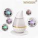 WNOSH 250mL Cool Mist Humidifer Aromatherapy Water-soluble Essential Purifier Diffuser Air Humidifier with 7 Changing Colorful LED Lights Lamp for Home Office Yoga Spa Baby Bedroom