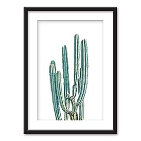 Framed Cactus on White Background Black Picture Frames...