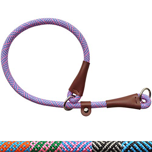 Dog Slip Collar