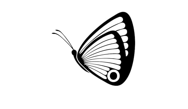 bike side box online