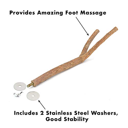 GNB PET 2pcs Bird Perch, Natural Y Shape Wooden Branch for Cage, Bird Parrot Natural Wood Fork Stand Perch Toy Birdcage Stands Pet Bird Toys, 11 Inches