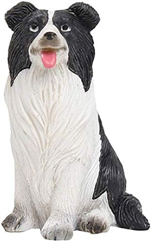 border collie accessories