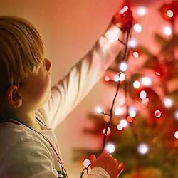 82FT 200 LED Red White Christmas Lights