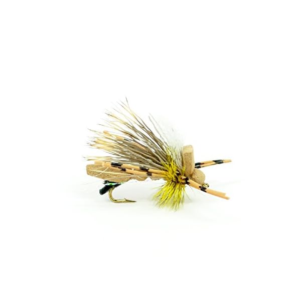 6-Foam-Body-Hopper-Grasshopper-Trout-Fly-Fishing-Flies-Assortment-6-Flies-3-Patterns-Hook-Size-10-Trout-Fly-Collection 6-Foam-Body-Hopper-Grasshopper-Trout-Fly-Fishing-Flies-Assortment-6-Flies-3-Patterns-Hook-Size-10-Trout-Fly-Collection