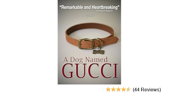 gucci dog collar amazon