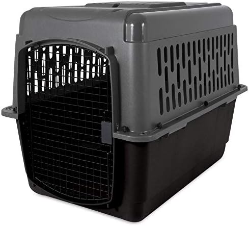 Aspen Pet Porter Travel Kennel