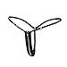 MASS21 Women's Sexy Underwear Lingerie G-Sting Thong Panty Bottom T Back