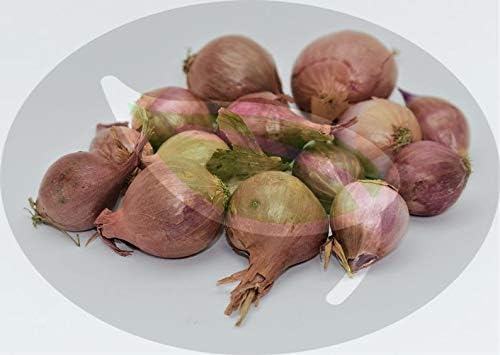 Alyf Market 2019 Nero Shallot Bulb Sets, Traditional Shape - Non-GMO Garden Seed Shallots, Fresh Multiplier Onions! (10 Bulbs)