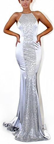 Rachel Charm Women Formal Long Chiffon Backless Evening Prom Evening Party Bridesmaid Wedding Party Silver Maxi Dress (S, Silver+White)
