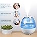 Anypro Cool Mist Humidifier, Ultrasonic Super Quiet Air Diffuser with Silver ion Antibacterial Agent, 3 Time Settings High/Low Control and Night Light Ideal for Baby Bedroom, 0.5 Gallon, Blue