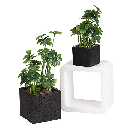 Nattol Artificial Desktop Plant Faux Tabletop Greenery in Square Black