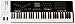 Nektar Panorama P6 - USB MIDI Controller Keyboard with Nektar DAW Integration, White, 61 Keys