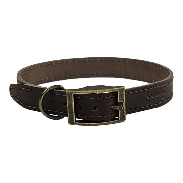 HugglePets Legacy Leather Dog Collar - Chocolate (Extra Large, 45-50cm) Strong & Durable Genuine Leather Collar for Large Dogs with Classic Brass Ring and Buckle Fastening.