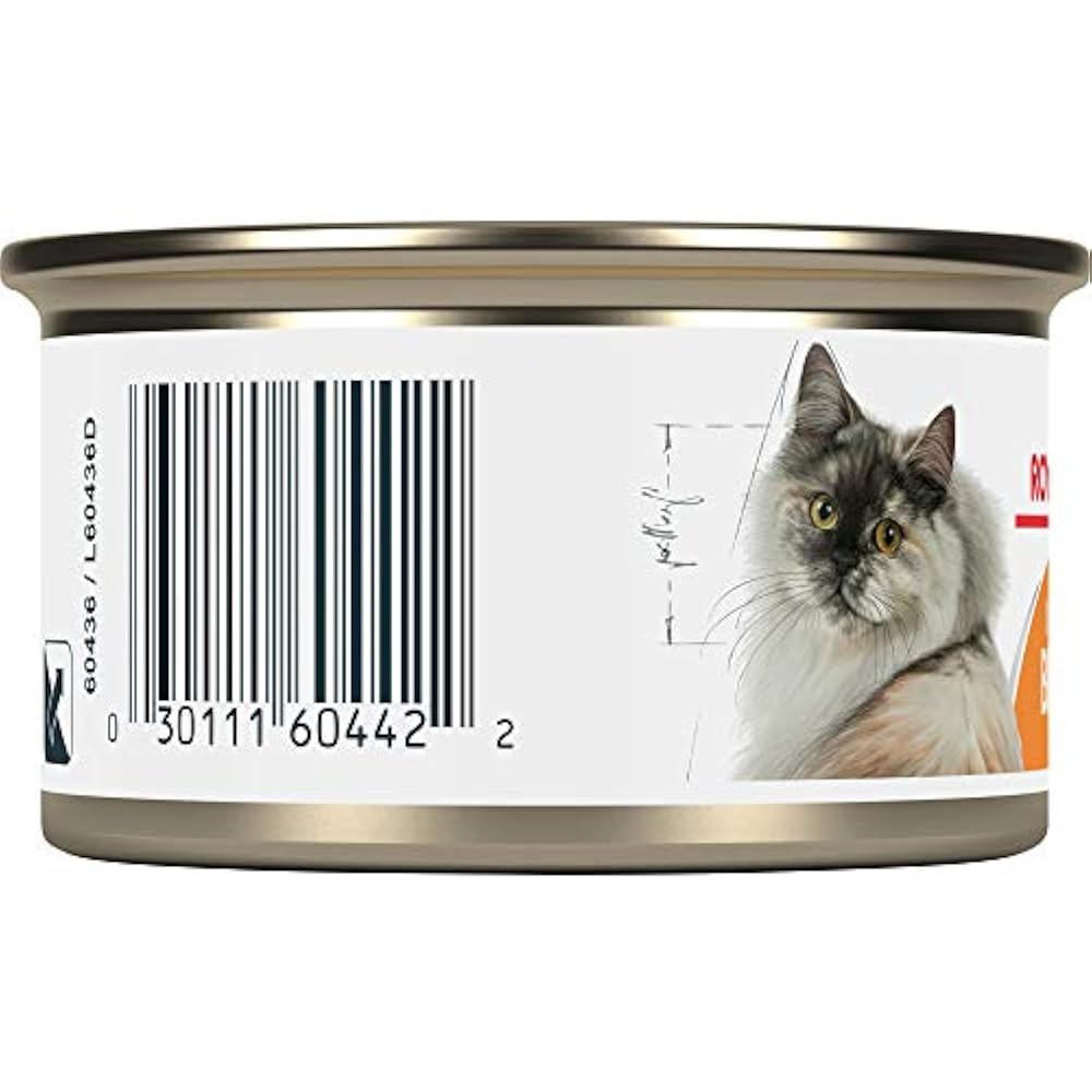 Royal Canin Canned Feline Care Nutrition Intense Beauty Cat Food, 3 Oz