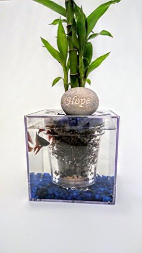 Fish O' Ponics Fish Tank Planter (shipped from US within 2 days) Self-watering Planter, In Home Decor, Desk, Bar Top, Window Sill Water Garden.