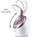 OKACHI GLIYA Facial Steamer 4 in 1 Nano Face Steamer (Gold)