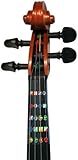Fretless Finger Guide for Half (1/2) Size Violin