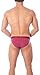 Obviously Apparel Downtown Collection - AnatoMAX Bikini Brief - Red Brick - Large