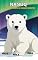 Livro NANUQ: O URSO QUE SENTIU O MUNDO DERRETER