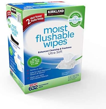 kirkland flushable wipes amazon