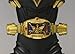 Bandai Tamashii Nations Masked Rider Odin and GoldPhoenix 