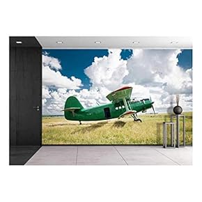 Old Airplane on Green Grass - Removable Wall Mural | Self-Adhesive Large Wallpaper - 66x96 inches