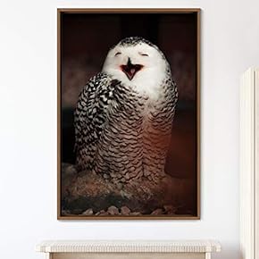 signwin Framed Canvas Wall Art Owl Birds Dramatic...