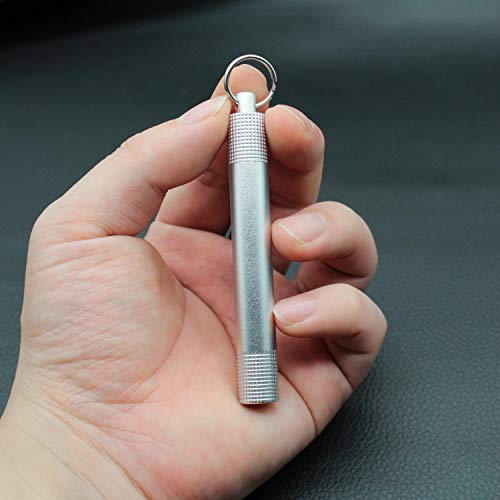 PPFISH Pocket Toothpick Holder keychain - Waterproof Aluminium Alloy Toothpick Box Container & Titanium Toothpick Ultralight Travel Kits (Sliver Aluminum + TI)