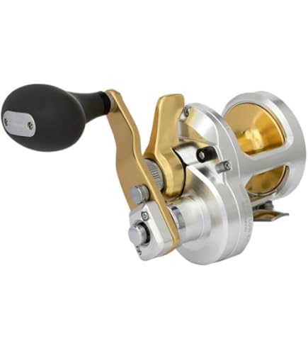 Amazon.com : Rapala TALICA 20II : Fishing Reels : Sports & Outdoors