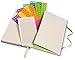 Moleskine Evernote Smart Notebook, Hard Cover, Large (5