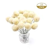 25 Pieces Wool Daubers Ball Brush Leather Dye Tool with Metal Handle Applicator for DIY Crafts Projects