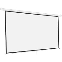 Pantalla De Proyector Enrollable Manual De 40 Pulgadas – Formato 16:9 Y 4:3, Tela De Fibra De Vidrio, Portátil Y Fácil De Colgar Para Cine En Casa