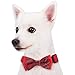 Blueberry Pet Gift Box with Pack of 2 Handmade Dog Cat Bow Tie, Scottish Plaid Tartan Style Bowtie Set in Scarlet Red & Emerald Green, 3