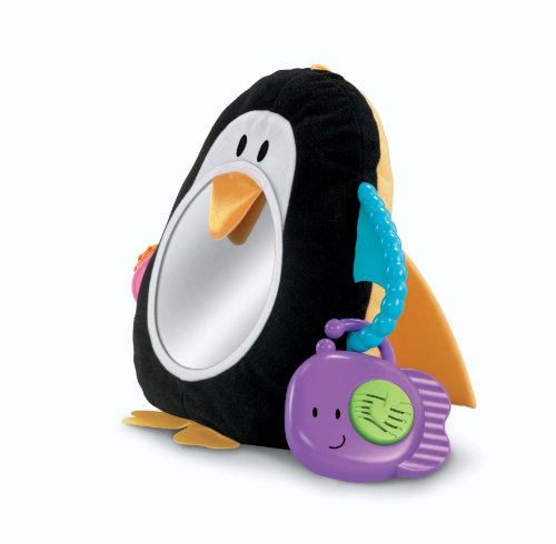 Fisher-Price Discover 'n Grow 2-in-1 Crib to Floor Musical Mirror