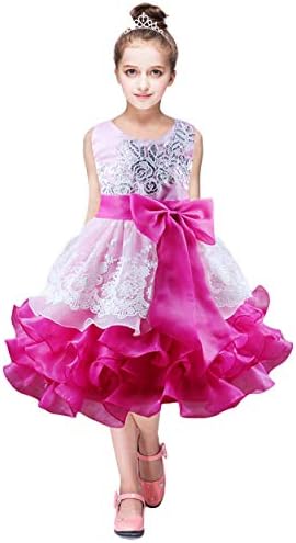 TYQQU Girl's Sequin Sleeveless Dress Short Ruffle Dress Round Neck Embroidery Prom Dress