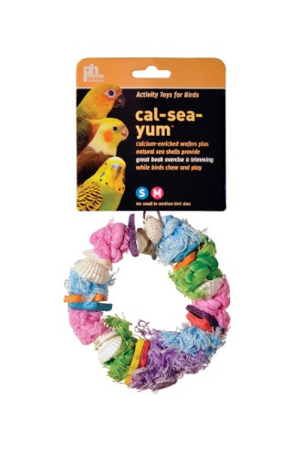 image for Prevue Hendryx Cal Sea Yums Dollar Bird Toy